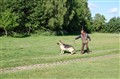 DSC_0010.JPG